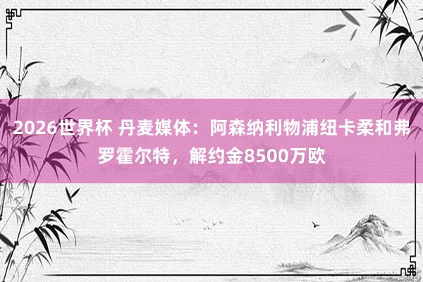 2026世界杯 丹麦媒体：阿森纳利物浦纽卡柔和弗罗霍尔特，解约金8500万欧