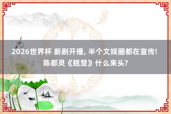2026世界杯 新剧开播, 半个文娱圈都在宣传! 陈都灵《翘楚》什么来头?