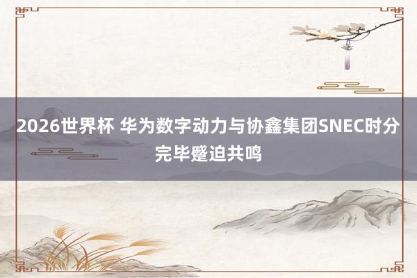 2026世界杯 华为数字动力与协鑫集团SNEC时分完毕蹙迫共鸣