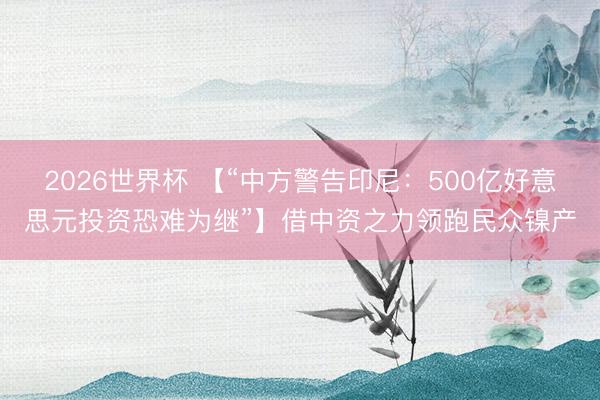 2026世界杯 【“中方警告印尼：500亿好意思元投资恐难为继”】借中资之力领跑民众镍产