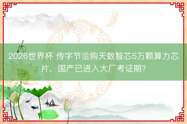 2026世界杯 传字节洽购天数智芯5万颗算力芯片,国产已进入大厂考证期?