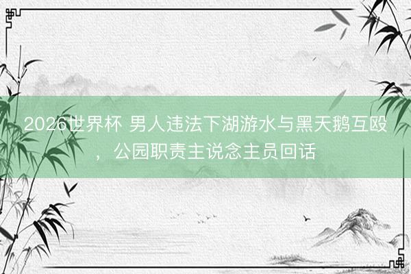 2026世界杯 男人违法下湖游水与黑天鹅互殴,公园职责主说念主员回话