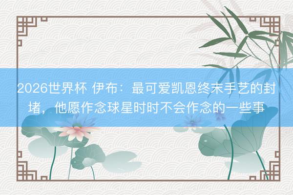 2026世界杯 伊布:最可爱凯恩终末手艺的封堵,他愿作念球星时时不会作念的一些事
